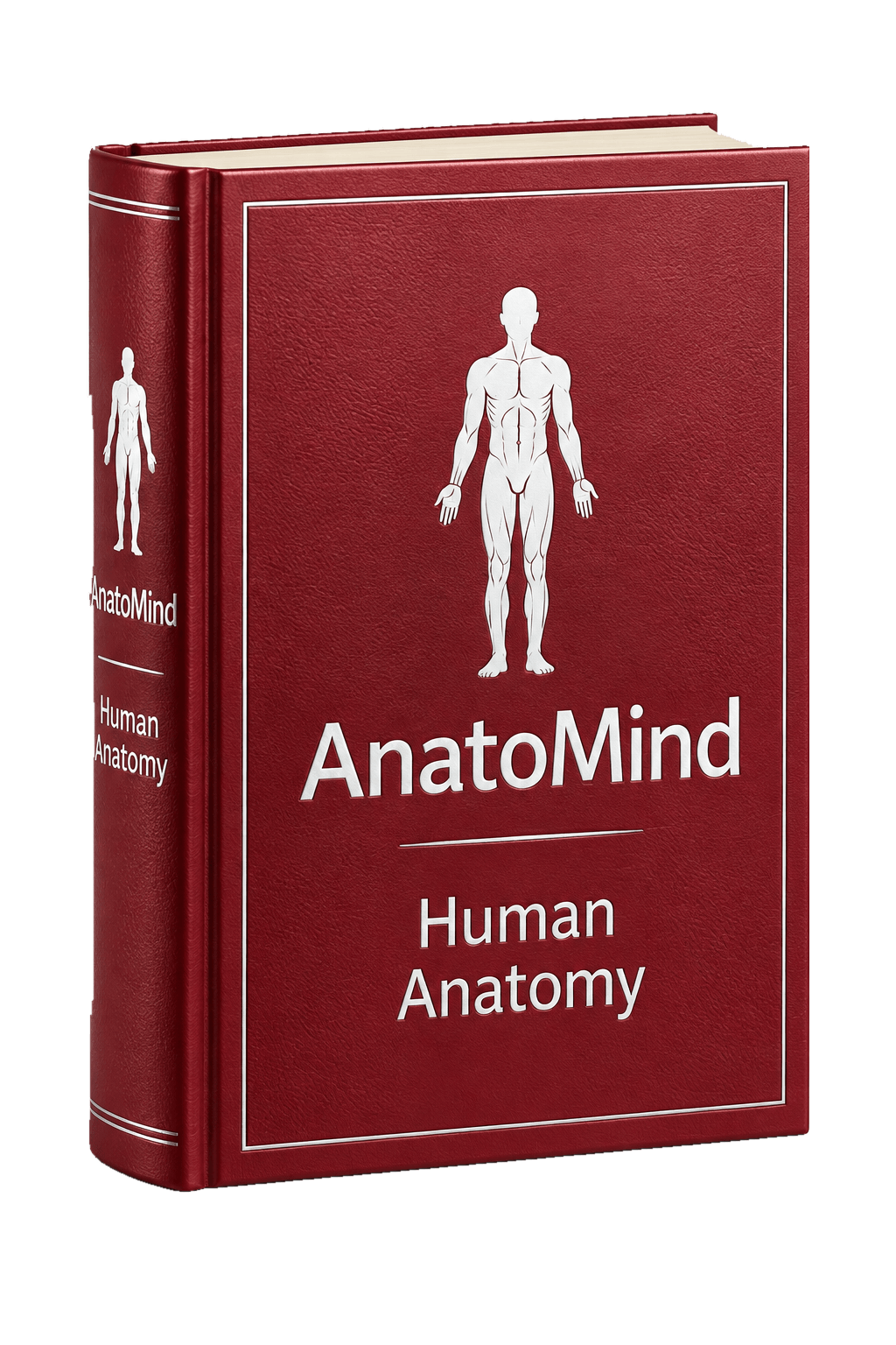 AnatoMind cover