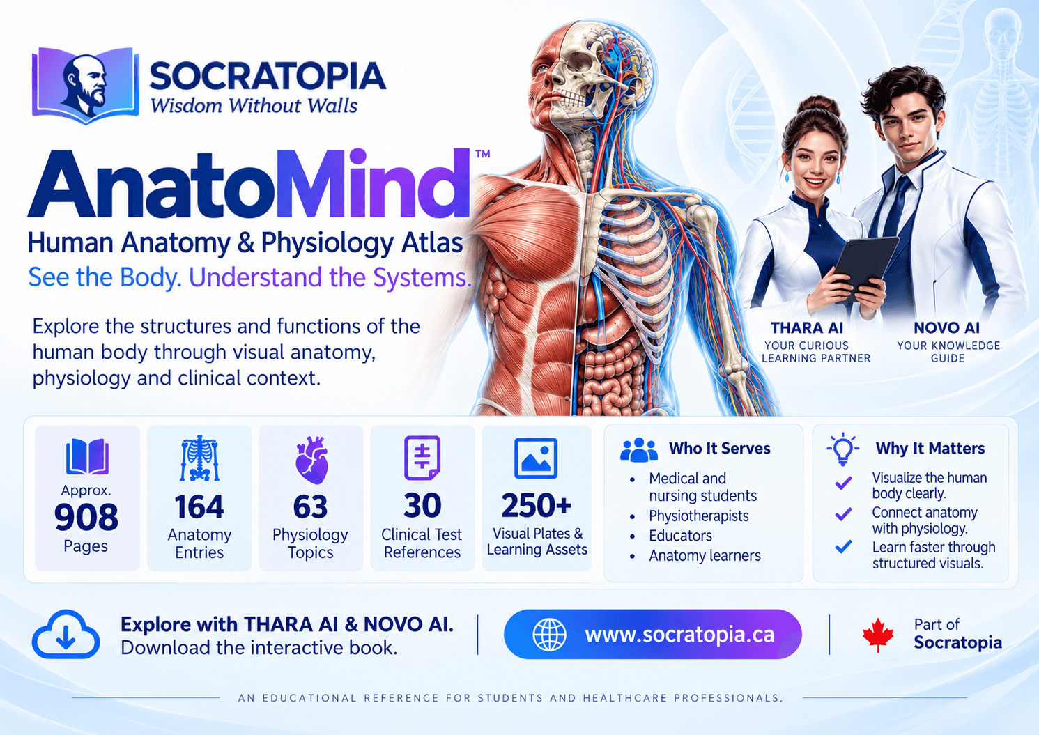 AnatoMind artwork 33